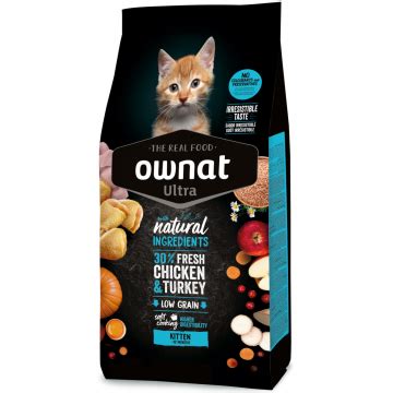 Ownat cat Ultra kitten