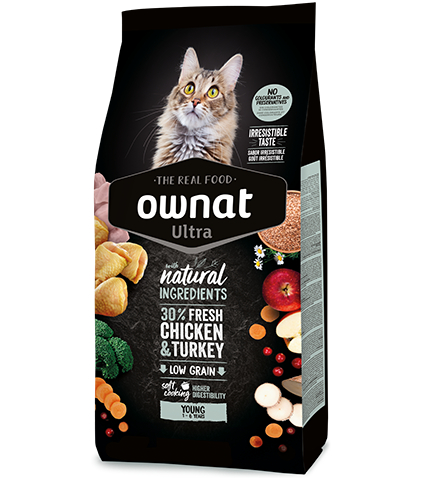 Ownat cat Ultra young