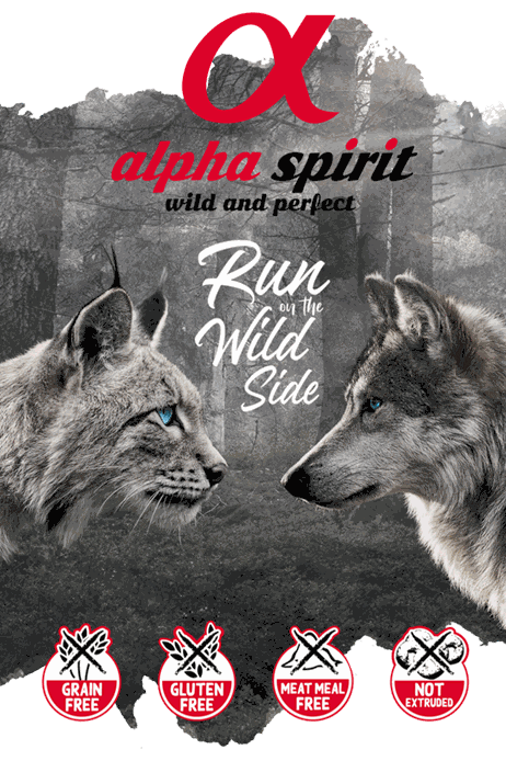 Alpha Spirit : become a reseller of a professional quality brand